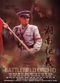 伊人在综合